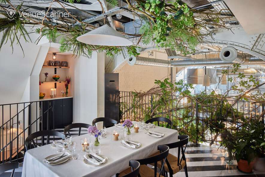 Hire Wild By Tart The Mezzanine