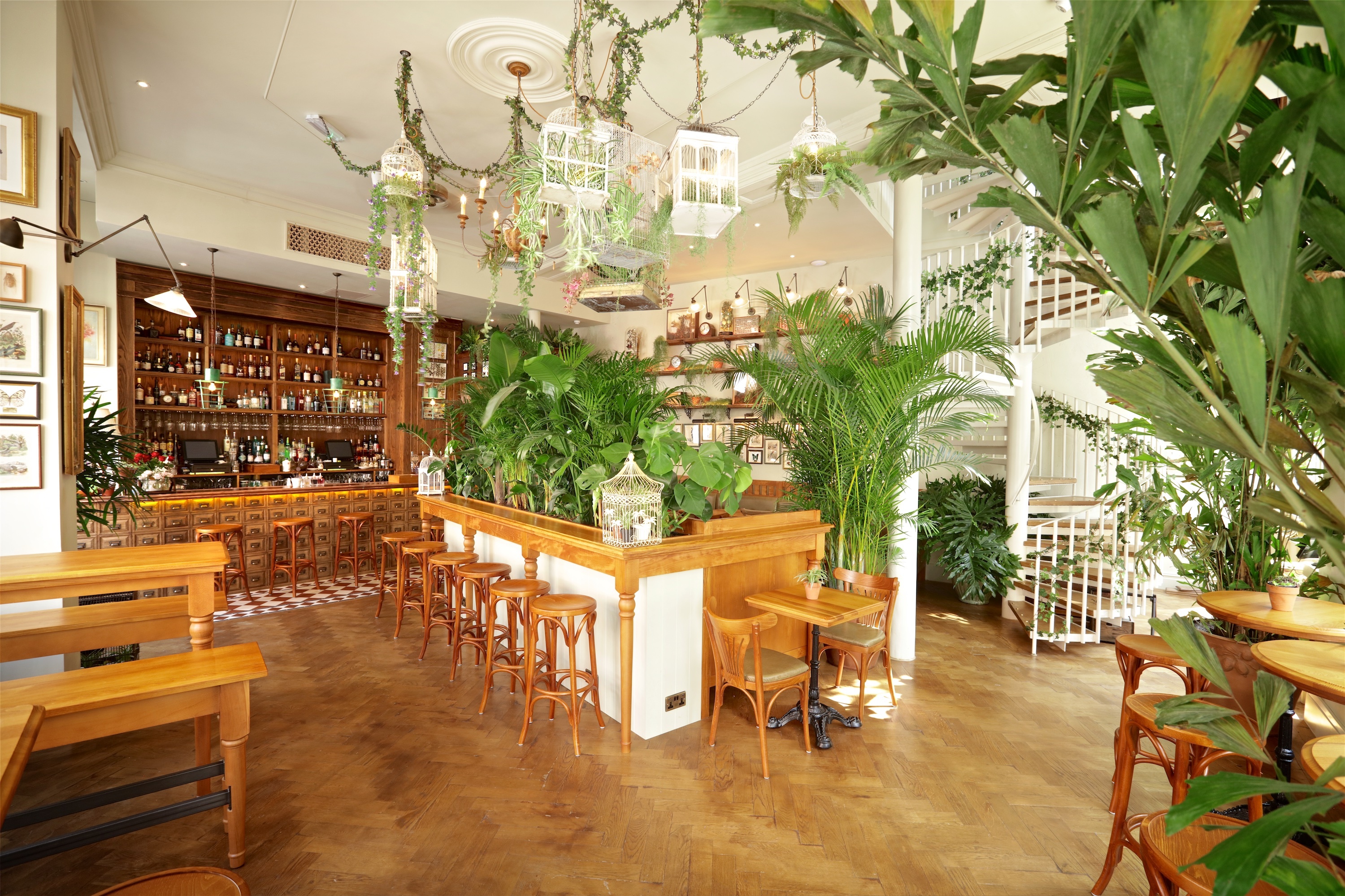 Hire Mr Fogg's Botanical Tavern House Of Botanicals VenueScanner